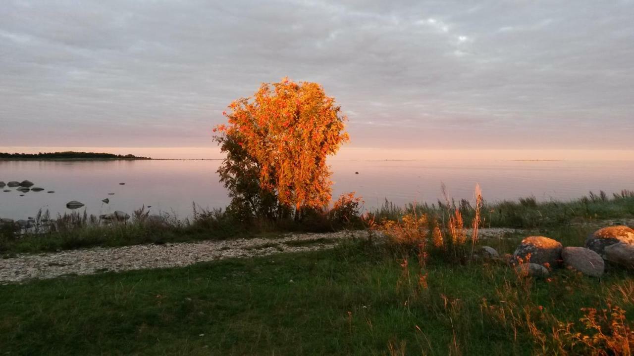 Kihnu Kuraga Lemsi